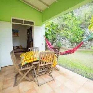 Colibri Le Gosier (Grande-Terre)